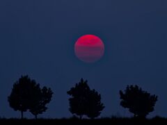 IMG_4456
