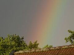 Regenbogen