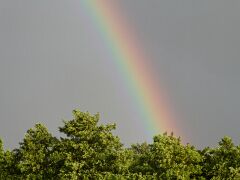 Regenbogen
