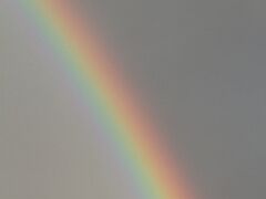 Regenbogen