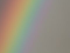 Regenbogen