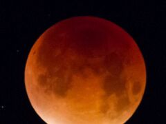 20150928-LR_4S_-9658_crop