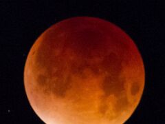 20150928-LR_4S_-9666_crop