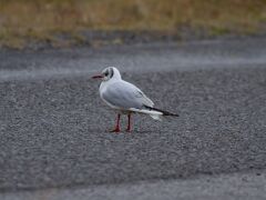 20150930-IMG_9806