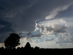 IMG_5463
