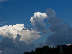 IMG_5466