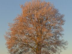 IMG_4425