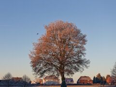 IMG_8057