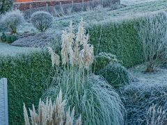IMG_8059