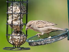 IMG_2507