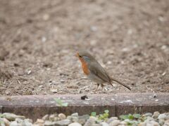 IMG_4563