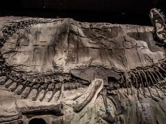 20181004-IMG_7542