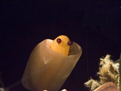 20181004-IMG_7556