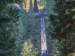 20181019-IMG_8880