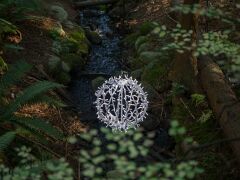 20181019-IMG_8882