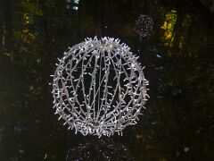 20181019-IMG_8883