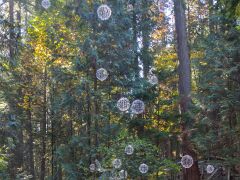 20181019-IMG_8884