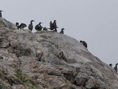 20180610-IMG_5351