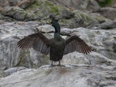 20180610-IMG_5355