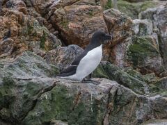20180610-IMG_5359