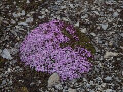 20180611-IMG_5679