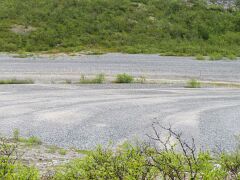 20180612-IMG_7786