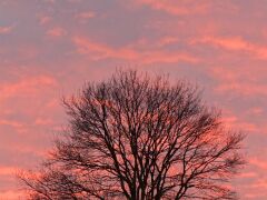 IMG_5615