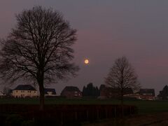 IMG_5625