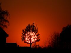 IMG_1168