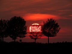 IMG_1471
