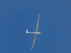 Segelflugzeug D-KLEP
