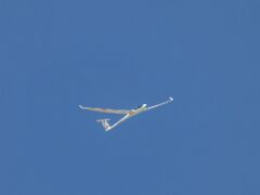 Segelflugzeug D-KLEP
