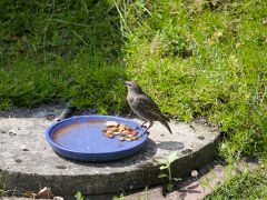 IMG_1839