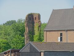 IMG_7953