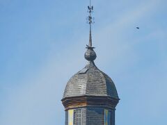 IMG_7954