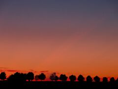 IMG_5116