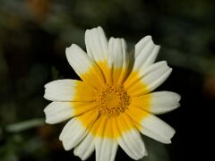 IMG_5147