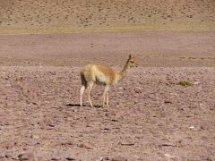 20190709-IMG_8207