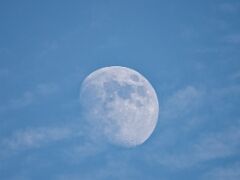 IMG_6435