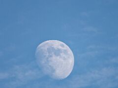 IMG_6436