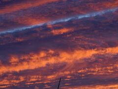 IMG_6445