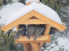 IMG_9209_DxO