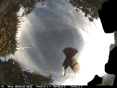 2021-08-15_08.56.27_0086