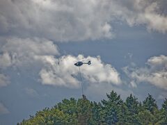 IMG_0529