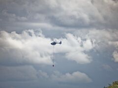IMG_0530