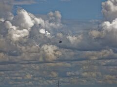 IMG_0534