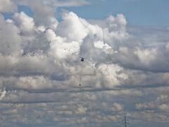 IMG_0535