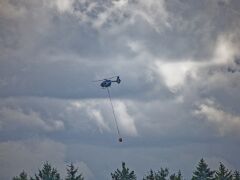 IMG_0541