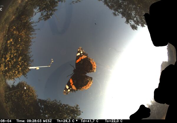 AllSkyCam