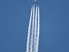IMG_3243